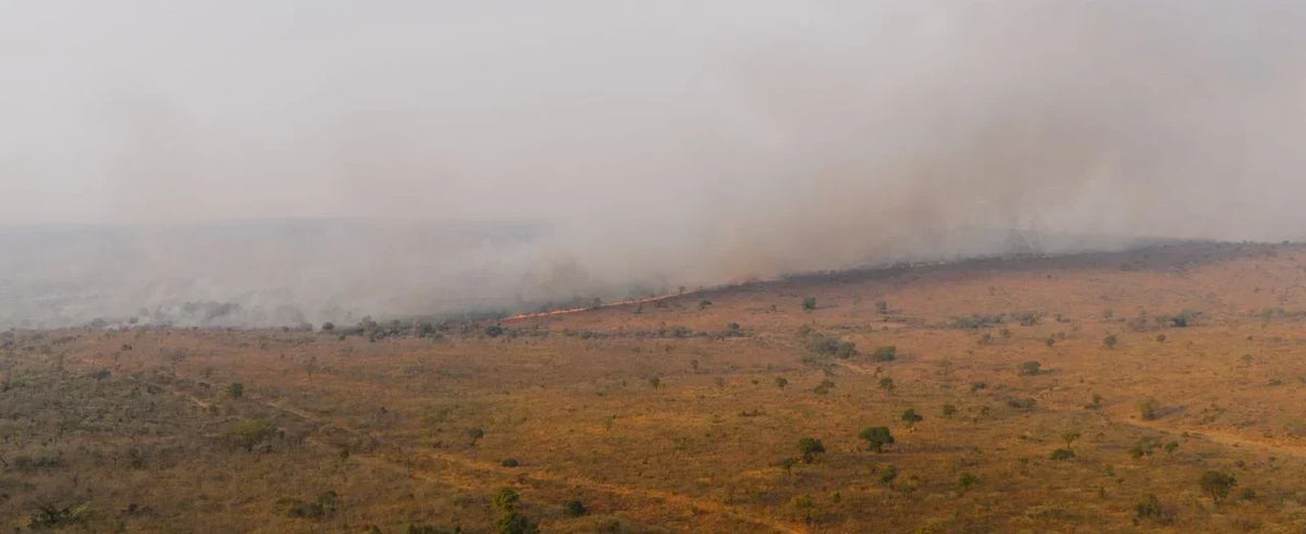 Bushfire Season & Backup Power: What You Need to Know