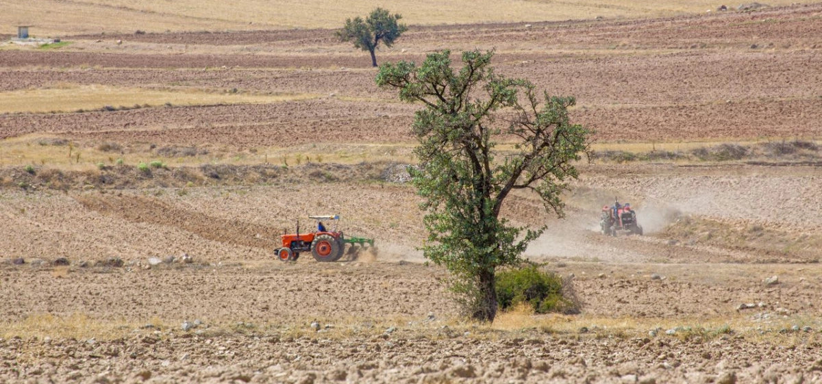 Farm power in a dry season: what this year means for your generator setup
