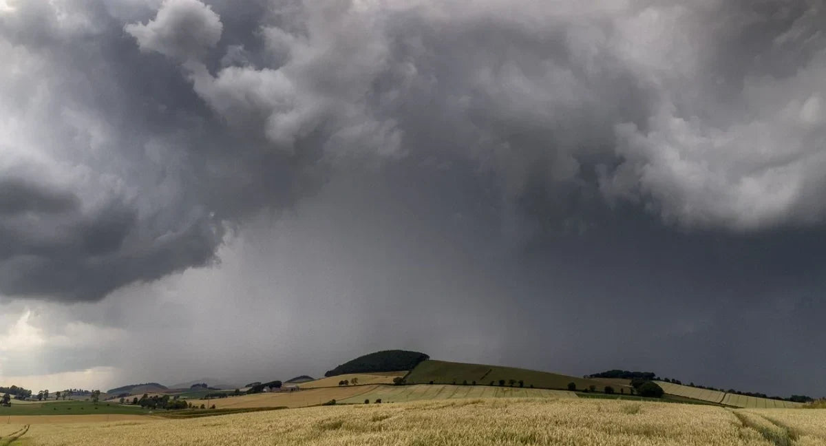 Storm Season Power Outages: Is Your Backup Generator Actually Ready?