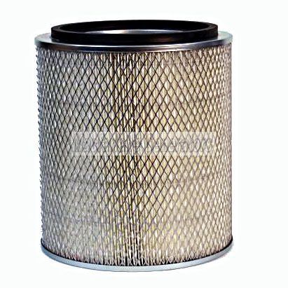 AF374 Fleetguard Filter Air, Primary