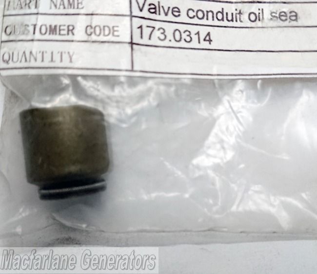Kipor Valve Stem Seal for KDE45SS