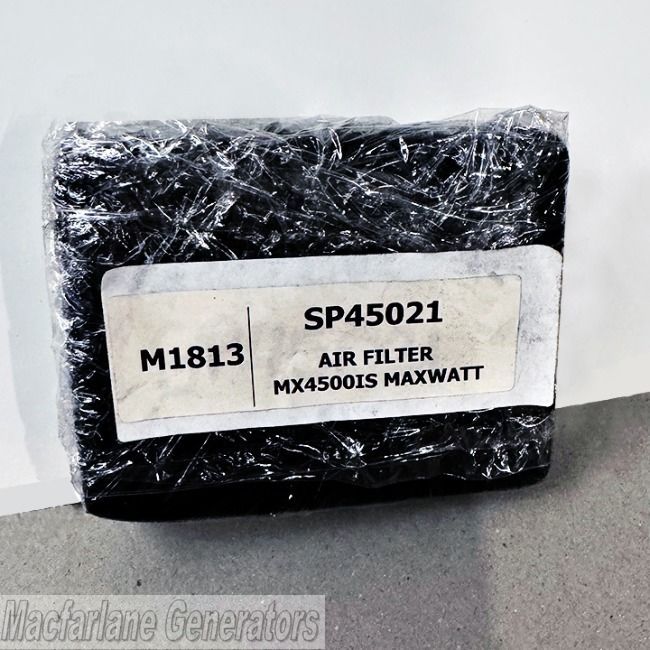 Maxwatt Air Filter for MX4500iS