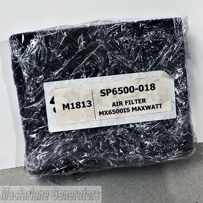 Maxwatt Air Filter for MX6500iS